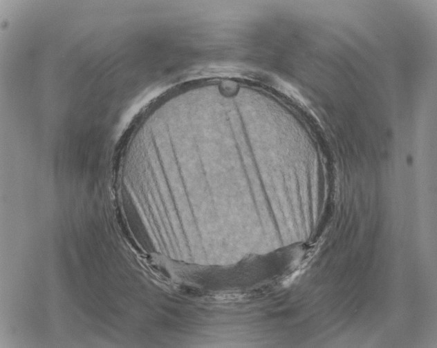 X0000078281312200611251408