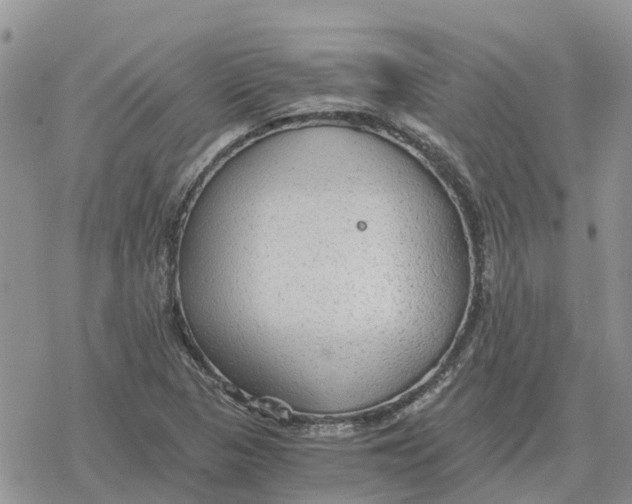 X0000078281313200611251408