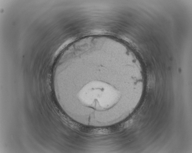 X0000078281314200611251408