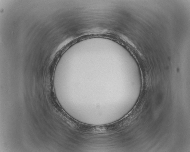 X0000078281315200611251408