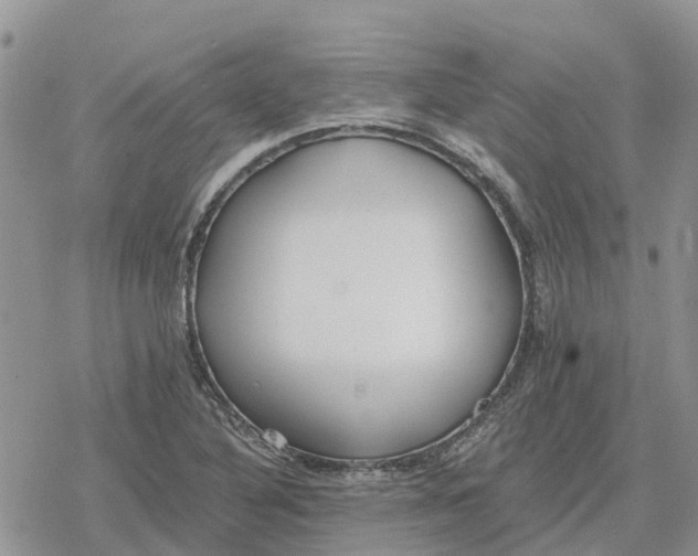 X0000078281316200611251408