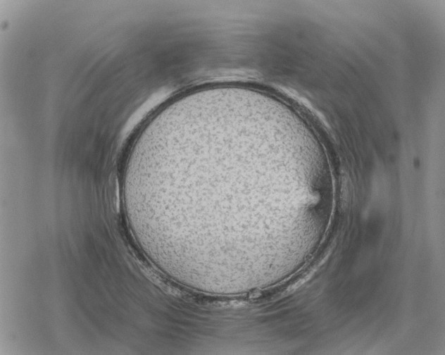 X0000078281317200611251408