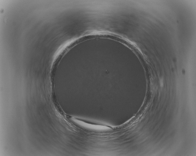 X0000078281319200611251408