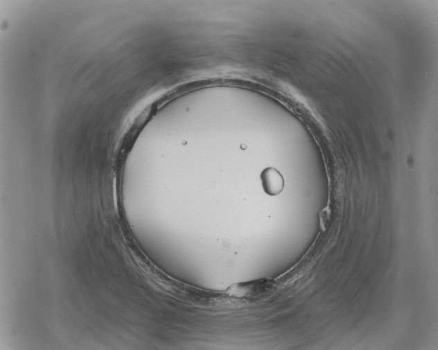 X0000078281320200611251408