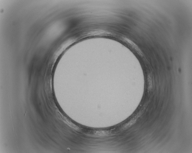 X0000078281322200611251408