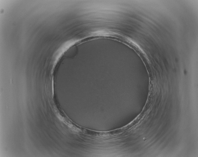 X0000078281323200611251408