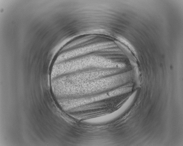 X0000078281324200611251408