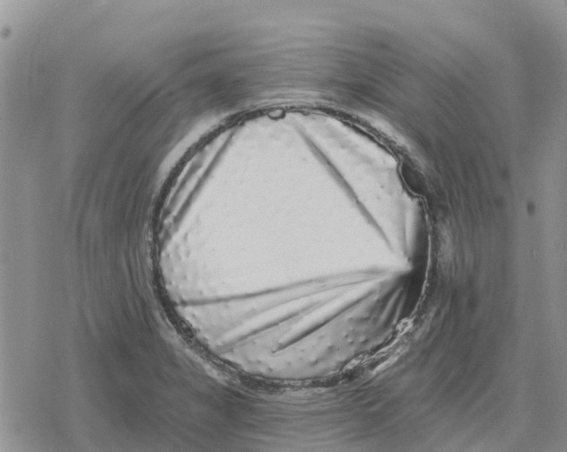 X0000078281325200611251408