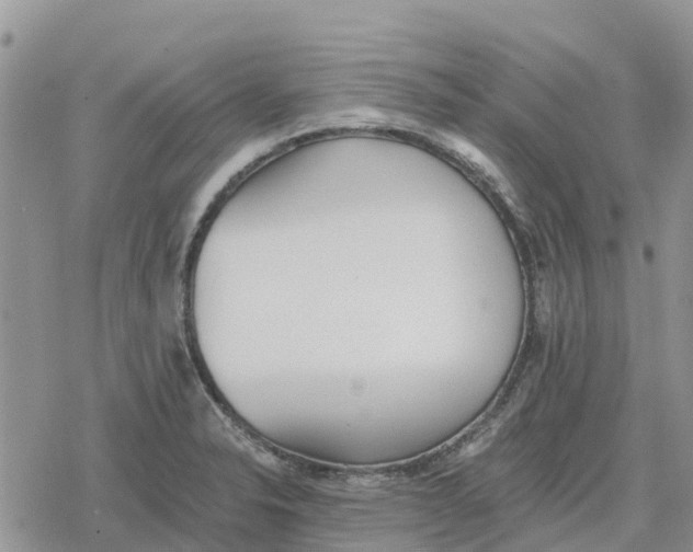 X0000078281326200611251408