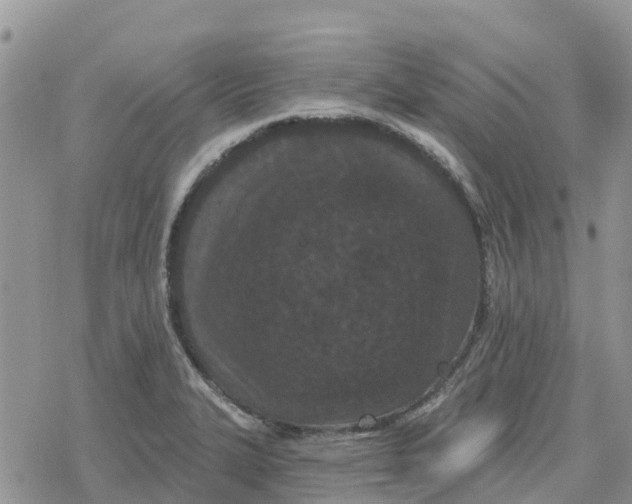 X0000078281327200611251408