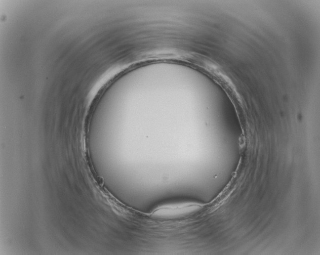 X0000078281328200611251408