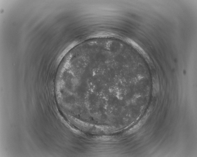 X0000078281329200611251408