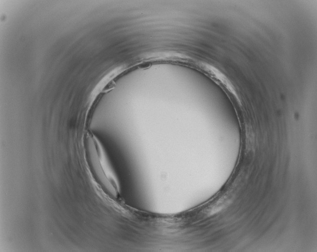 X0000078281330200611251408