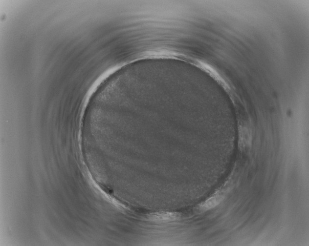 X0000078281331200611251408