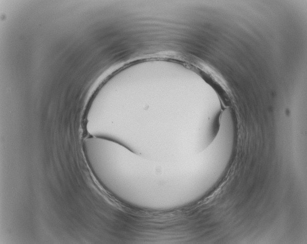 X0000078281332200611251408