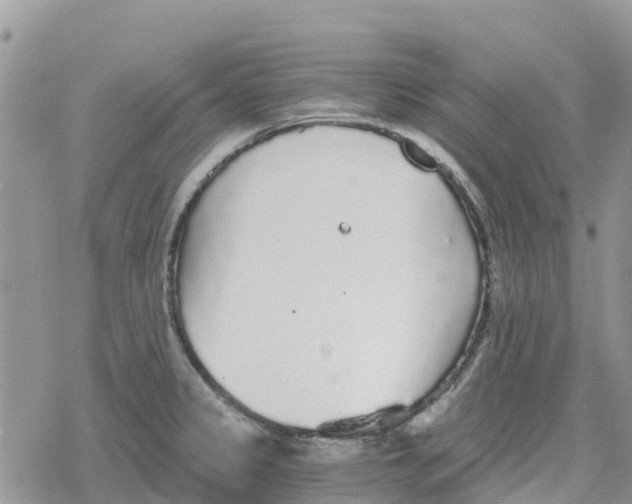 X0000078281333200611251408