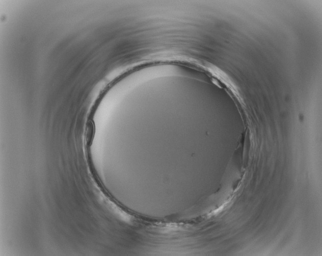 X0000078281334200611251408