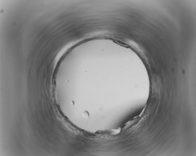 X0000078281336200611251409