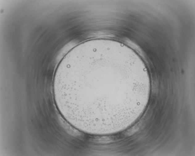 X0000078281338200611251409