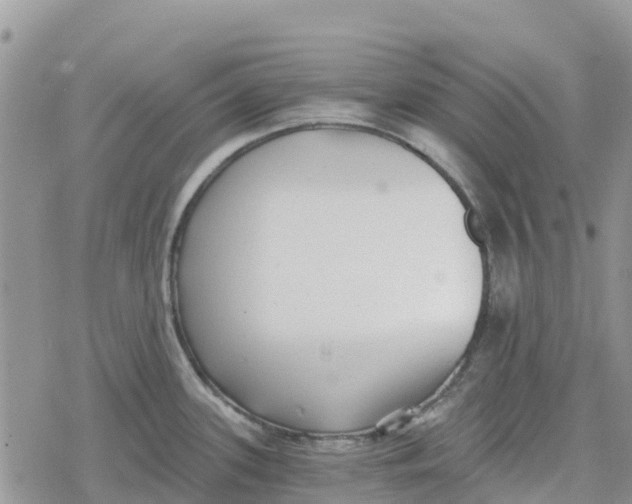 X0000078281339200611251409