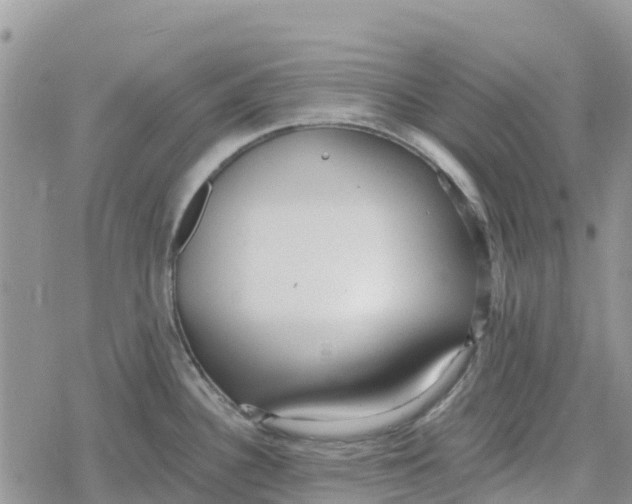 X0000078281340200611251409