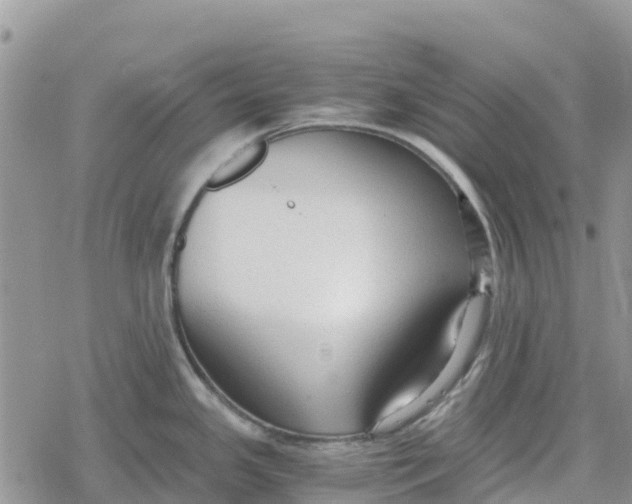 X0000078281341200611251409