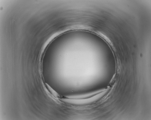 X0000078281342200611251409