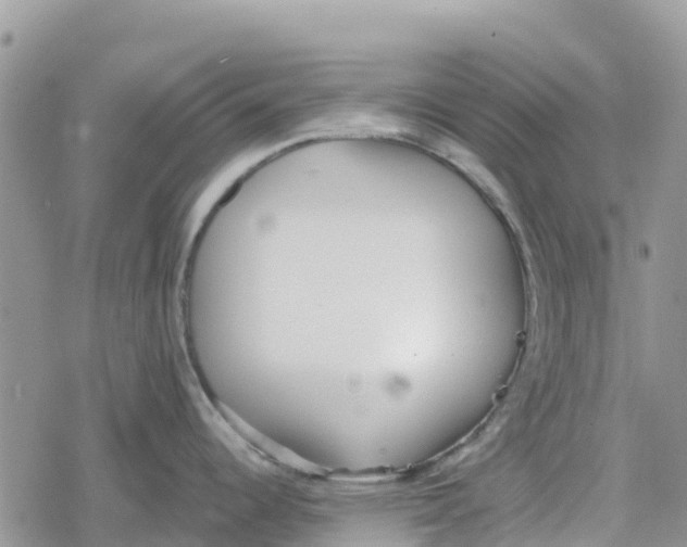 X0000078281344200611251409