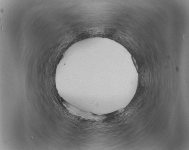 X0000078281345200611251408