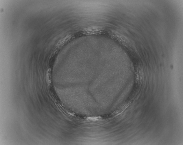 X0000078281346200611251408