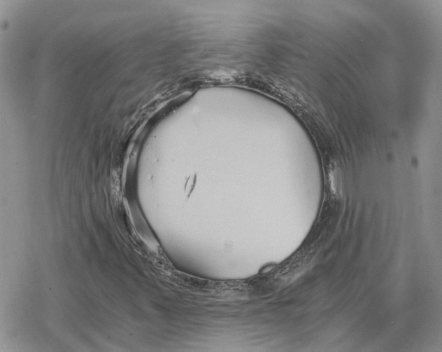 X0000078281347200611251408