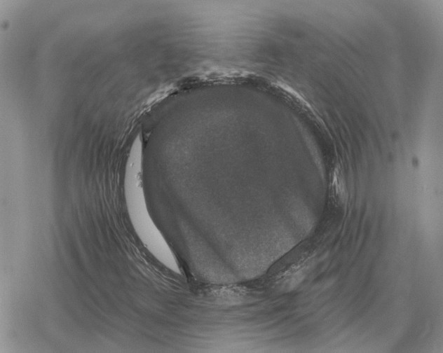 X0000078281348200611251408