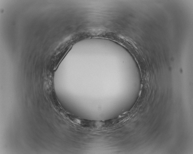 X0000078281349200611251408