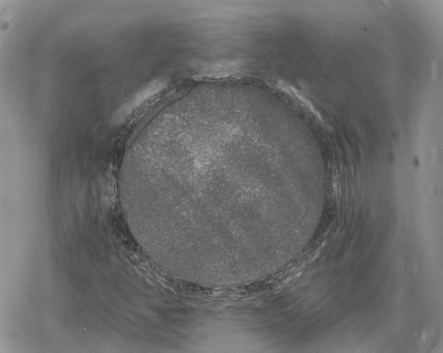 X0000078281350200611251408