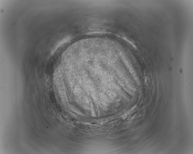 X0000078281351200611251408