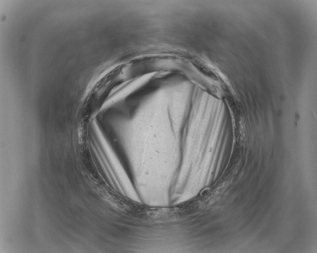 X0000078281352200611251408