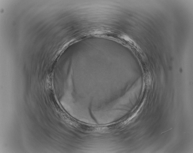 X0000078281353200611251408