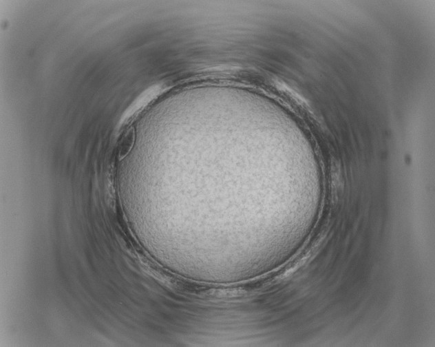 X0000078281354200611251408