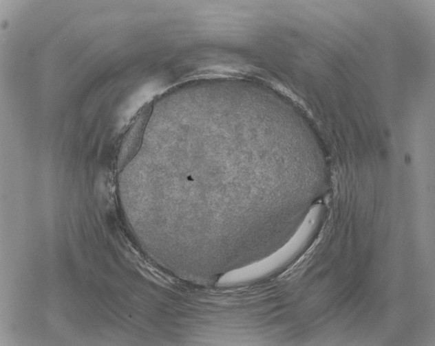 X0000078281355200611251408