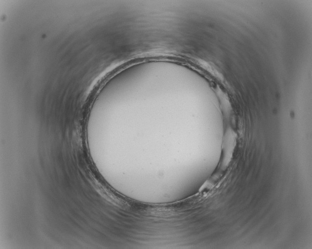 X0000078281356200611251408