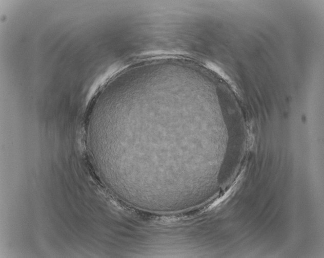 X0000078281357200611251408