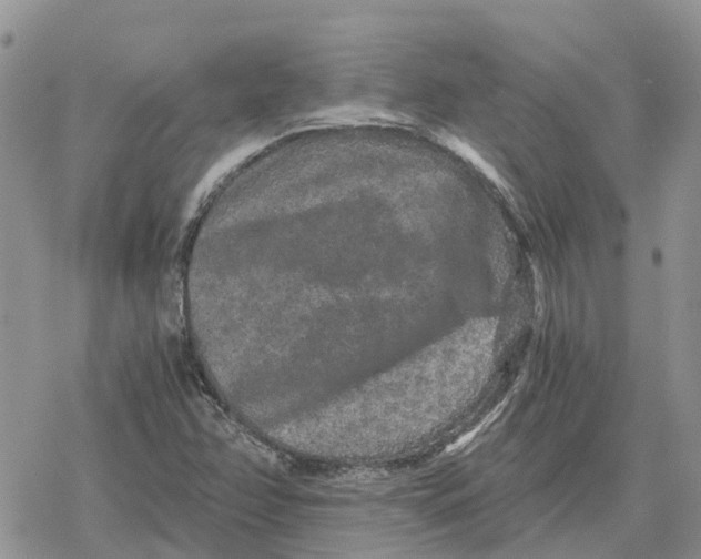 X0000078281358200611251408