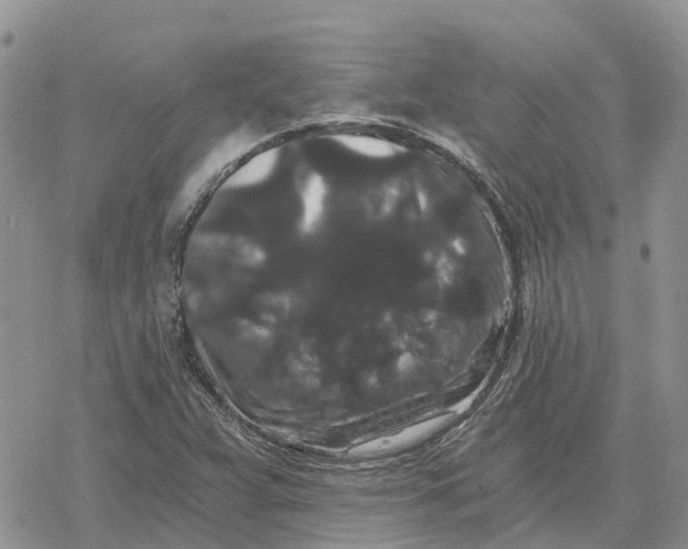 X0000078281359200611251408