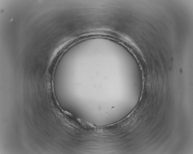 X0000078281360200611251408