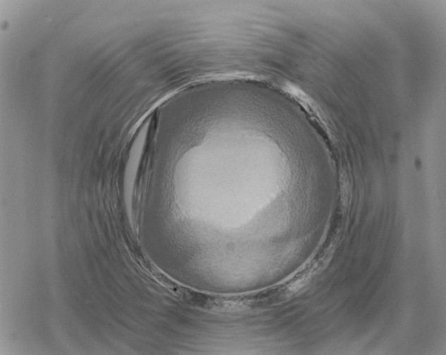 X0000078281361200611251408