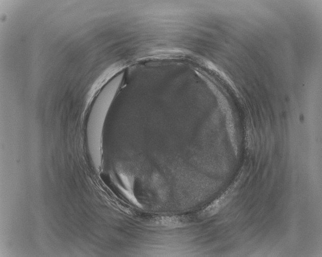 X0000078281362200611251408