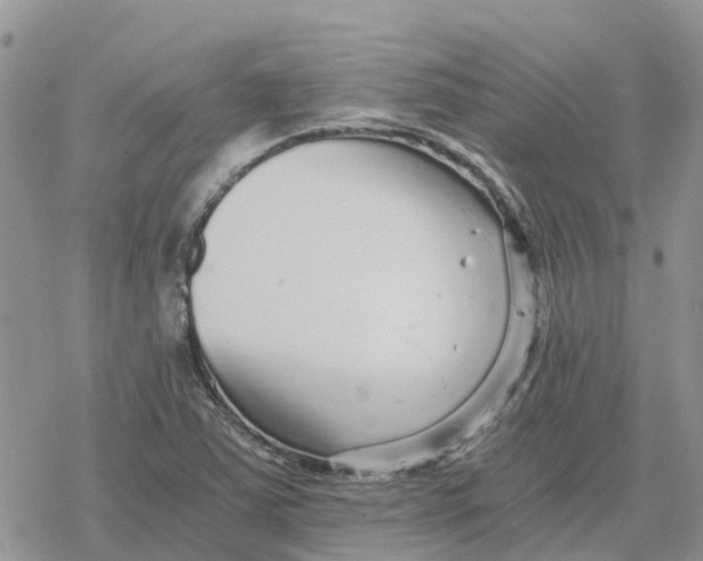 X0000078281363200611251408