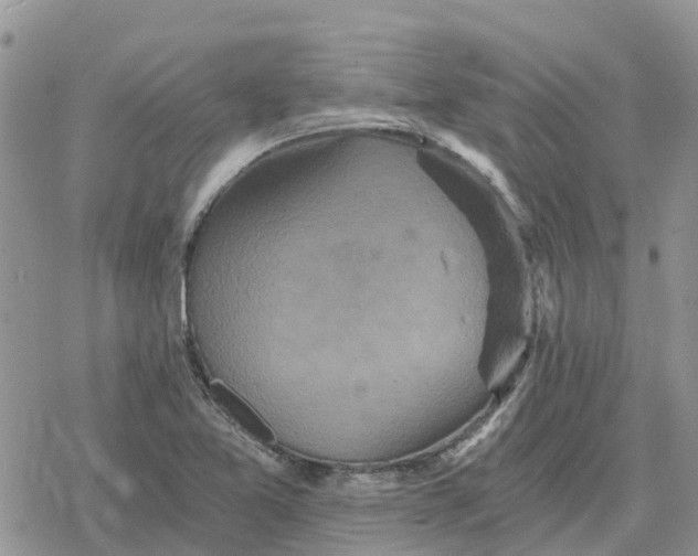 X0000078281365200611251408