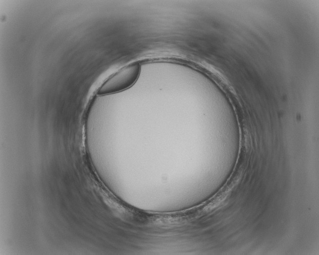 X0000078281366200611251408