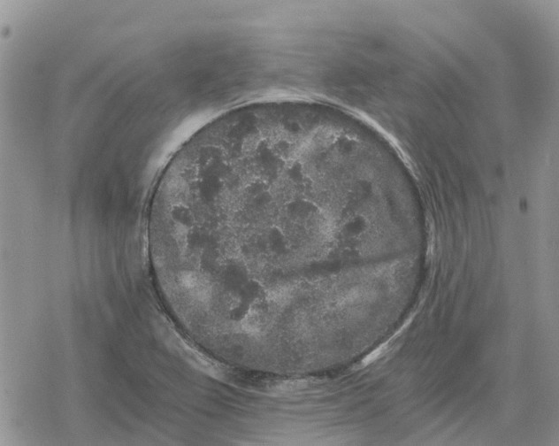 X0000078281367200611251408